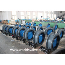 Double Flange Butterfly Valve with Painting Disc